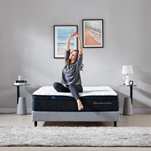 Sleep Republic Mattress